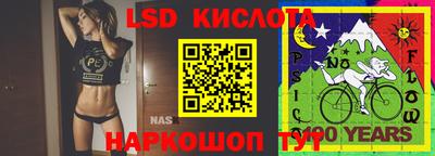 шишки Волжск