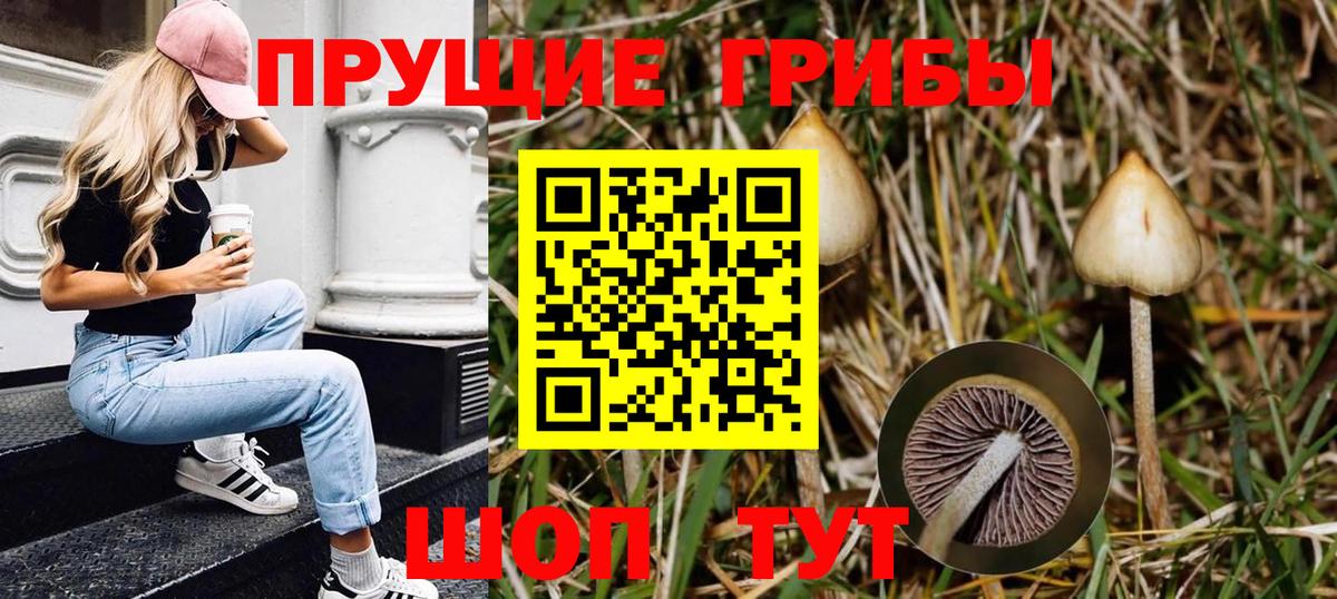Барнаул  купить наркотик  Вход с VPN  Галлюциногенные грибы MAGIC MUSHROOMS 
