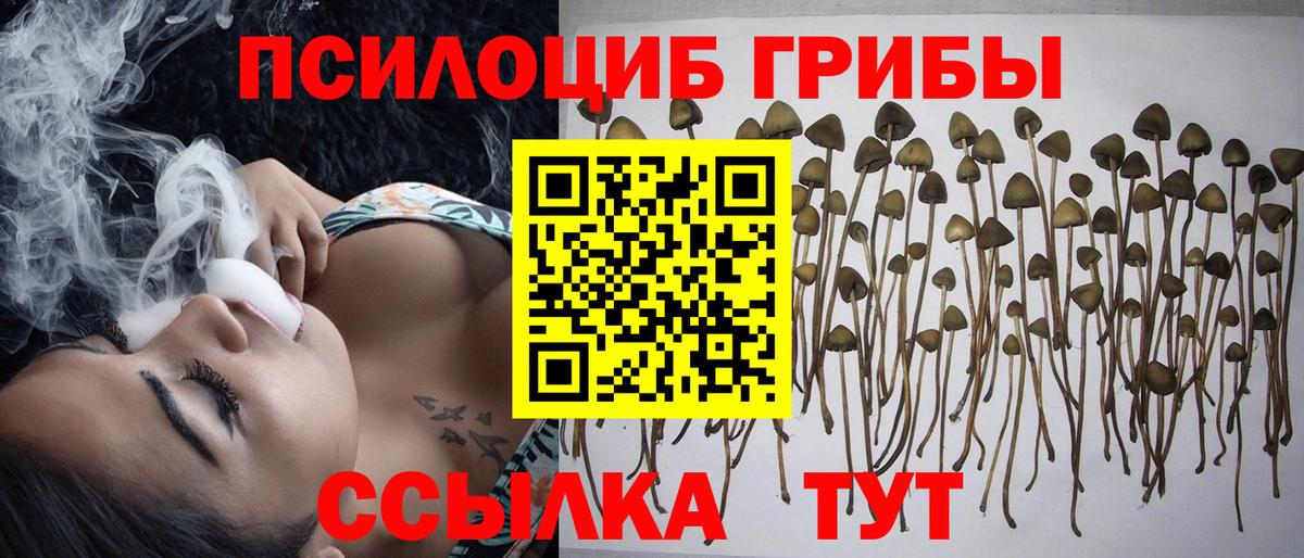 Галлюциногенные грибы Cubensis Барнаул
